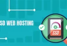 What Is SSD Web Hosting?